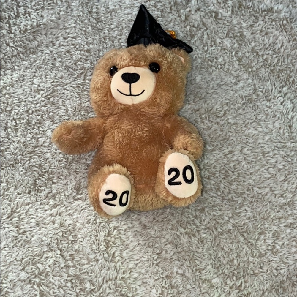 Graduation teddy bear